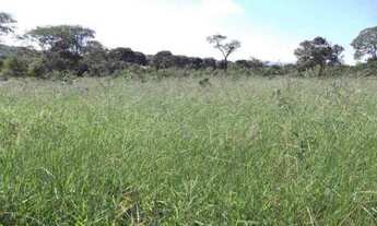 Imagem 5: Chácara 1.00m² para morar ou investir , Jaboticatubas (Temos varias opções)