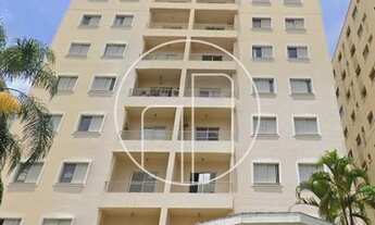 Imagem: Campinas - Apartamento Padrão - Cambuí