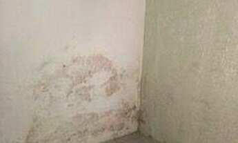 Imagem 3: Casa com 1 dormitório à venda por R$ 500.000,00 - Jardim Vera Cruz - São Bernardo do Campo