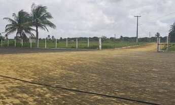 Imagem: Fazenda/Sítio/ para venda possui 22HA (220.000M2)