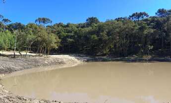 Imagem 2: Terreno com 30000 m² - Próximo a Rampa do Búgio - Bateias de Baixo Campo Alegre - SC