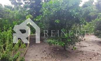 Imagem 7: Sítio para Venda em Barra Velha, Itajuba, 3 dormitórios, 2 banheiros, 2 vagas