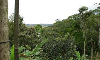 Imagem 5: SãO BERNARDO DO CAMPO - Padrão - Riacho Grande