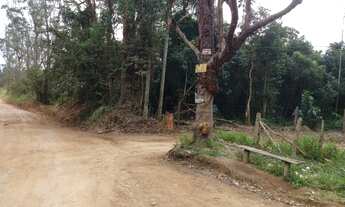 Imagem 2: Chácara na Estrada do Claro