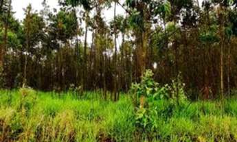 Imagem 5: W.N.S LOTE COM 1000M A VENDA DIRETO COM O PROPRIETARIO