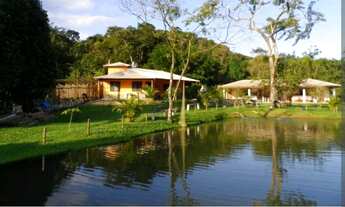 Imagem 5: SITIO LINDO - Excelente oportunidade