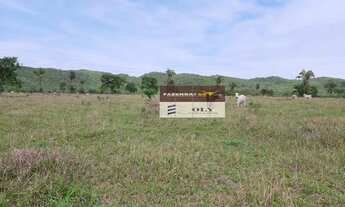 Imagem 2: Fazenda Extra no Município de Fazenda Nova ! 100 Alqueires !