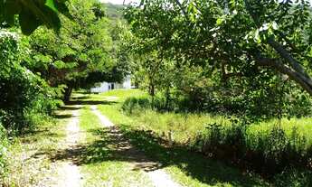 Imagem 4: Sobrado para venda tem 204 metros quadrados com 3 quartos em Lagoa da Conceição - Florianó