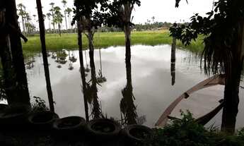 Imagem 4: MINI SÍTIO URBANO