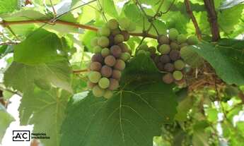 Imagem 3: Casa com 2 dormitórios para alugar, 130 m² - Jardim Novo Cambuí - Hortolândia/SP