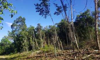 Imagem 5: Terreno Plano 4800m² para Sítio no Km26 da AM 070 (Manoel Urbano