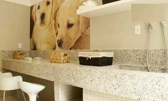 Imagem 3: Guarulhos - Apartamento Padrão - <br> Vila Augusta