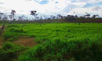 Imagem 3: VENDO EXCELENTE SITIO