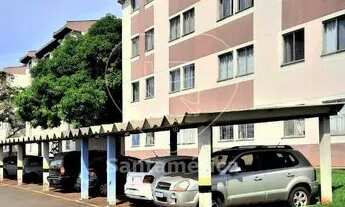 Imagem: LONDRINA - Padrão - Jardim Coliseu