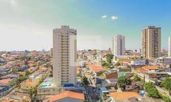 Imagem 5: Apartamento para Aluguel - Água Fria, 2 Quartos, 36 m2