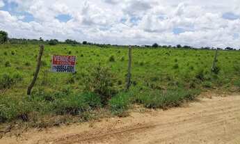 Imagem: Tarefa de terra