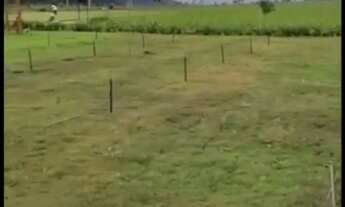 Imagem 4: Fazenda/Sítio/Chácara para venda tem 20000 metros quadrados em Zona Rural - Mucugê - BA