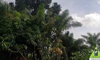 Imagem 6: IBIUNA - RESIDENCIAL - CURRAL