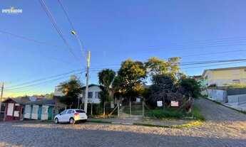 Imagem 4: Terreno Rio Branco