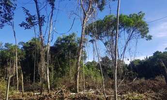 Imagem 6: Terreno Plano 4800m² para Sítio no Km26 da AM 070 (Manoel Urbano