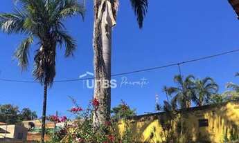 Imagem 2: 0 - Casa 3 quartos, sendo 1 suíte