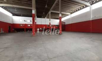 Imagem 3: São Paulo - Galpão/Depósito/Armazém - Vila Matilde