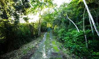 Imagem 3: Amplo Terreno Localizado na Praia do Siriú, em Garopaba, com Linda Vista p/ Mar