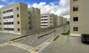 Imagem: Ape Pajuçara