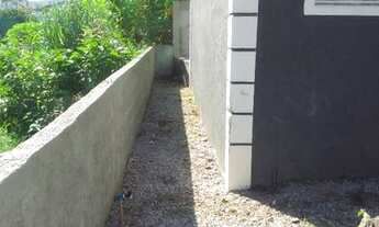 Imagem 5: Aluga casa com quintal