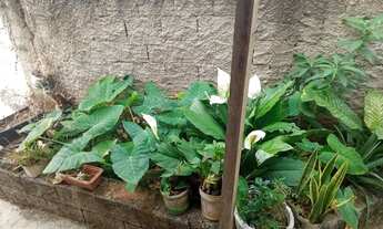 Imagem 5: Venda de casa Casa com 2 dormitórios