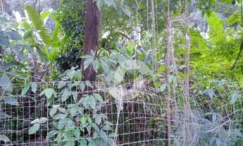 Imagem 7: Terreno à venda, 765 m² por R$ 300.000,00 - Engenho do Mato - Niterói/RJ
