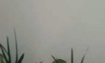 Imagem 5: Kitnet Studio Quarto com aluguel por R$1.350 /mês