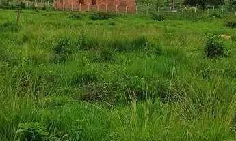 Imagem 6: Chácara em Trindade