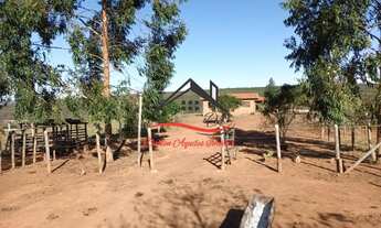 Imagem 4: Fazenda à venda, 3 quartos, zona rural - Senador Modestino Gonçalves/MG