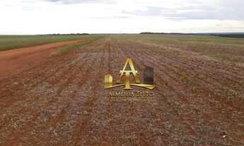 Imagem 2: Fazenda à Venda - Nova Mutum/MT