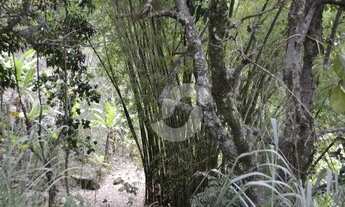 Imagem 4: Área à venda, 202056 m² por R$ 1.790.000,00 - Vila Progresso - Niterói/RJ