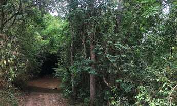 Imagem 5: Vendo ou TROCO Chacara meio HECTAR em águas lindas de Góias