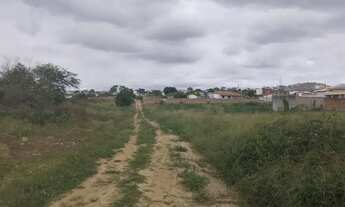 Imagem 5: Área Comercial para Venda em Itaberaba, BR 242 km 90
