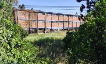 Imagem 7: Amplo terreno às margens da BR 116 em Picada Café na Serra Gaúcha