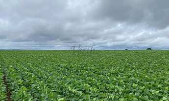 Imagem 5: Fazenda à Venda 472 Hectares Unaí - MG