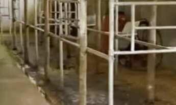 Imagem 2: Fazenda/Fazendinha/Sítio 12 Hectares, 120.000m2, Entre Rios de Minas