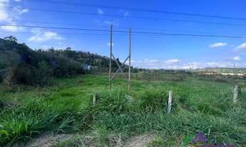 Imagem 4: AREA - RESSACA - SP