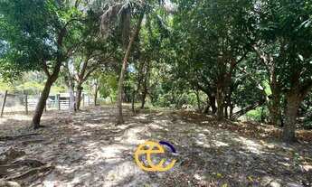 Imagem 7: TERRENO ARAÇAGY