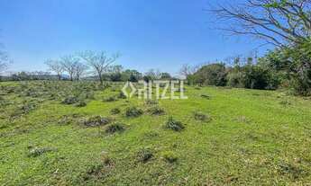 Imagem 6: Fazendinha 5 hectares em Sapiranga - Ent r$ 230 mil - Saldo Direto 24 X