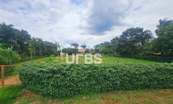 Imagem 3: Terra Do Boi I - Terreno Residencial