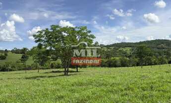 Imagem 5: Fazenda 21,5 alqueires (104,06 hectares) São Luis de Montes Belos - Go