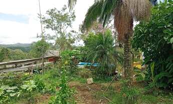 Imagem 6: Chacara com riacho precisando de dono 130mil reais