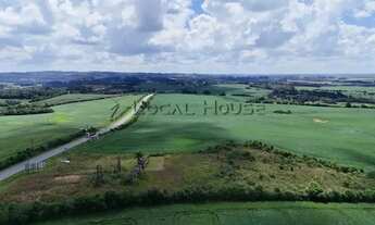 Imagem 5: Terreno à venda em Lapa, Boqueirão, 24000m²