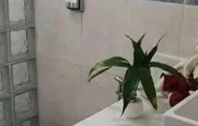 Imagem 2: Casa em Americana