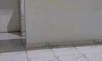 Imagem 5: Avenida com 5 casas, sendo 2 já prontas e 3 em andamento